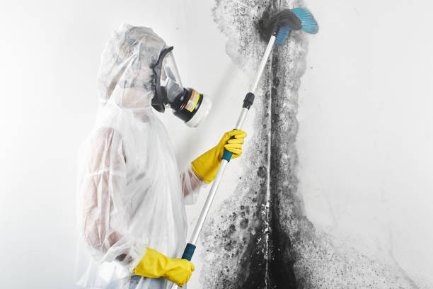 Best Real Estate Mold Inspection  in Lynchburg, MS