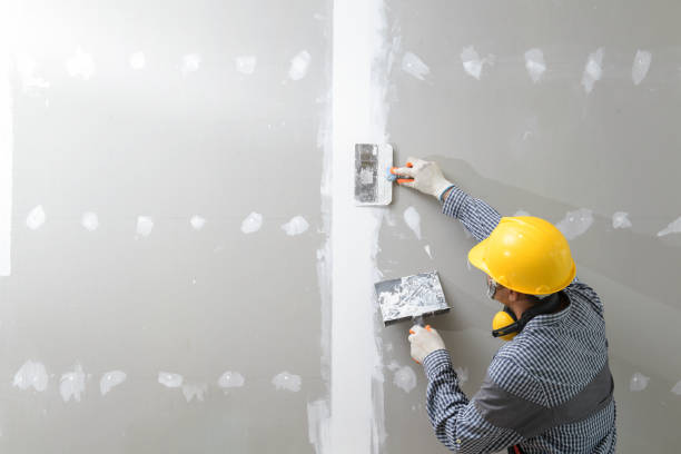 Best Mold-Related Health Consultation  in Lynchburg, MS