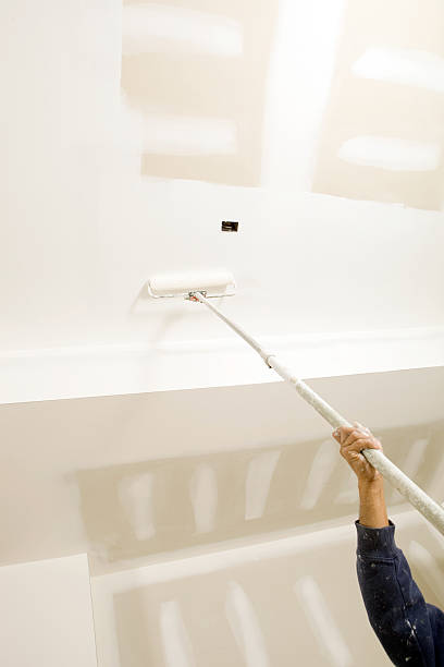 Professional Mold Removal in Lynchburg, MS