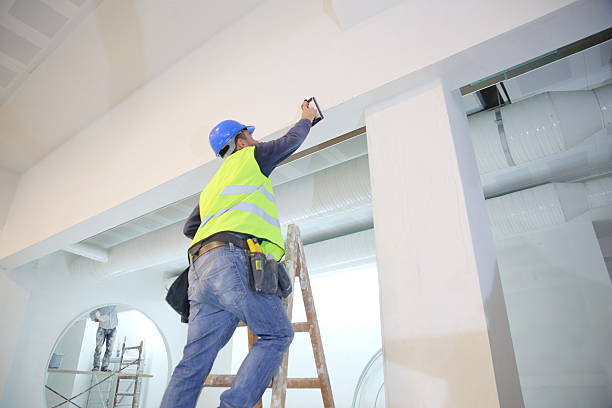 Best Mold Remediation for Vacation Homes  in Lynchburg, MS