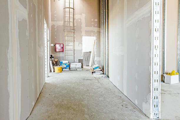 Best Industrial Mold Remediation  in Lynchburg, MS