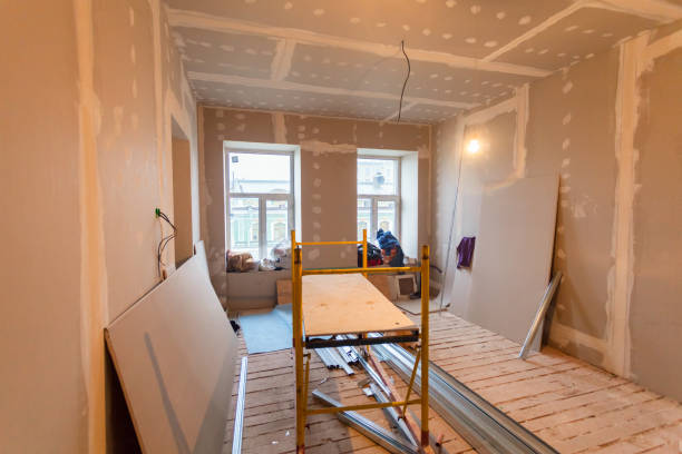 Best Post-Construction Mold Inspection  in Lynchburg, MS