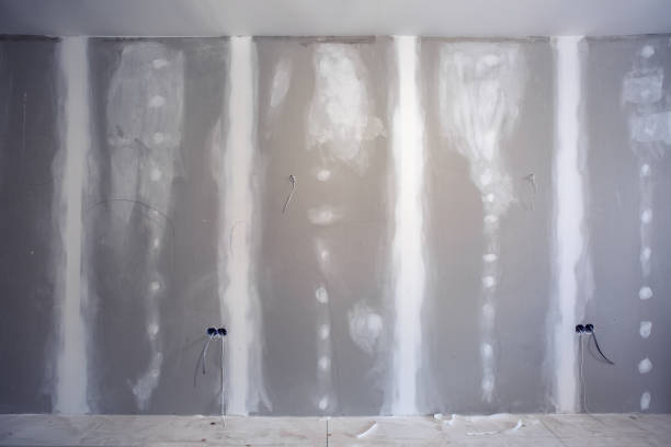 Best Dehumidification Services  in Lynchburg, MS