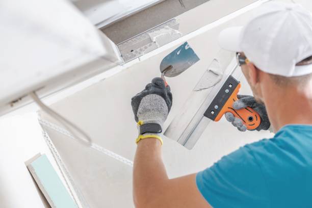 Best Crawl Space Mold Remediation  in Lynchburg, MS